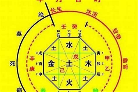 八字喜木|什么是八字喜用神，八字喜用神为木改运方法——天玄网